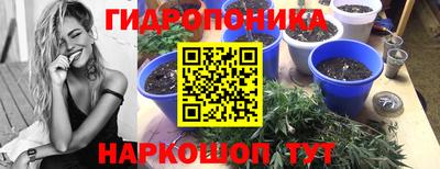 spice Чебаркуль